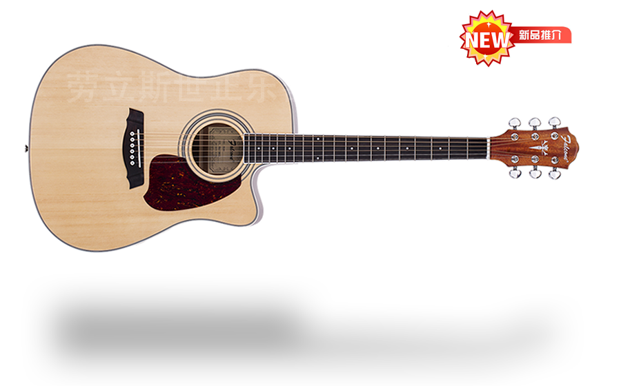 山东劳立斯世正乐器有限公司 FD50C 